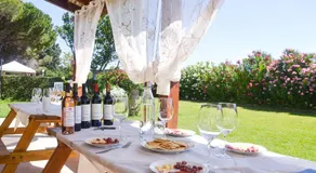 Agriturismo La Rondine - Image 4