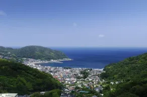 Wisterian Life Club Usami - Image 3
