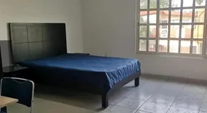 Depas Anahuac - Image 2