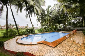 Palm Shades Spring - Image 3
