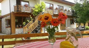 Guest House Friends - Image 2