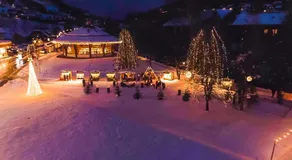Alpenhof M&E - Image 3