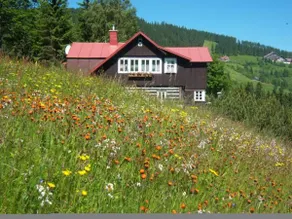 Pension Skalicky - Image 4