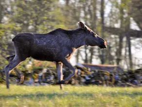 6 Personer feriebolig i Kopparberg - Image 3