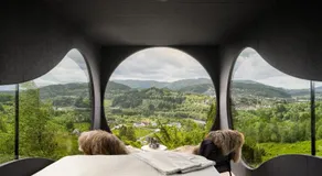 Birdbox Bergen - Image 3