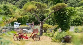 Chaesonghwa Glamping in Yeongcheon - Image 4
