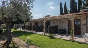 B&B Il Gelso Rooms - Image 3