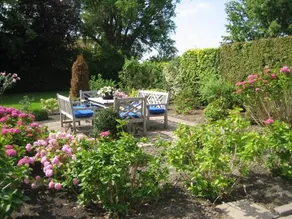 Hortensia - Image 1