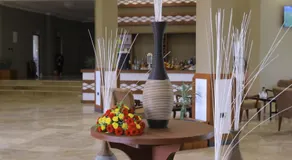 Haile Resort Adama - Image 4