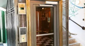 The Bristol Wing - Image 2