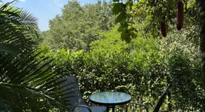 Colibrí de Payande - Image 5