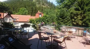 Pension Waldschlösschen - Image 3