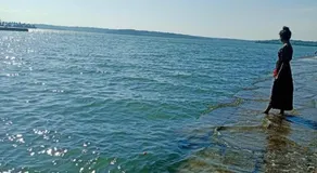 Oyster Homes - Image 5