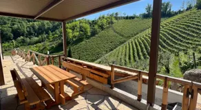 Divigna Hospitality - Prestige Vineyards Maison - Image 3