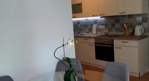 SočaLand Apartmaji - Image 3
