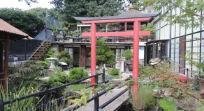 Zen Guest House - Museu do Bonsai - Image 3
