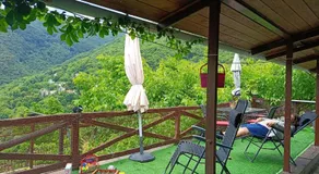 Ξυλοπετρα / Wood & stone house - Image 3