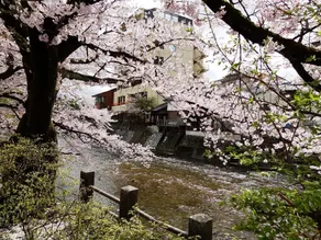 Natural Onsen Hostel Hidamari no Yu - Image 3