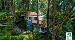 The Tall Trees - Image 5