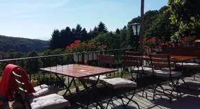 Landgasthof Grüner Baum - Image 4