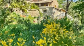 Le Viel Sabran - Image 5