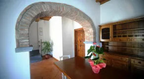 Super Relais Stella - Image 3