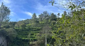 Hanni Resort - Image 2