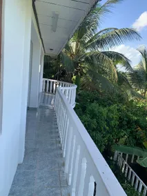 Palms and Paradise - Image 4