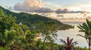 RAIATEA - Fare Ora - Image 3