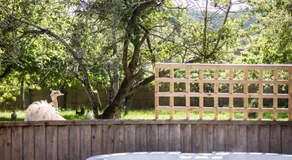 Farm Elegance at Lottie's Lodge - Image 4