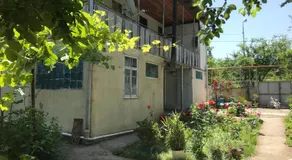 Chveni Ezo - Image 4
