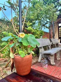 Homestay Chuyện Của Nắng - Nang's Story - Image 3