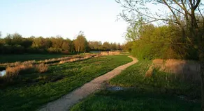 Swaenenburgh - Image 5