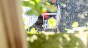 Nutgrove House Luxury B&B - Image 5