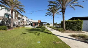 Pedro Coastal Stay - Image 3