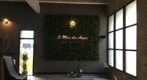 LE MAS DES AUGES - Image 4