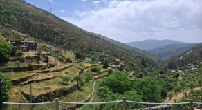 Tojo Natur - Image 5