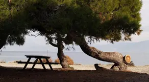 Διαμέρισμα με θέα στον Πευκιά - Image 5