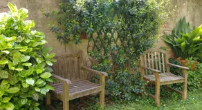 Il Giardino Fiorito - Image 3