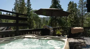 Silver Tip Big Bear - Image 3