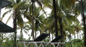 Priti Garden Farmstay, Kelwa Palghar -4 BR farmhouse with pool, pond, games,bbq - Image 5