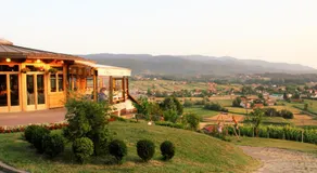 Pansion Rody - Image 4