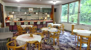 Kusatsu Skyland Hotel - Image 5