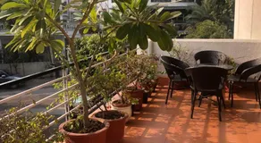 The Neem - Image 5