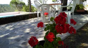 Quinta Das Lameirinhas - Image 4