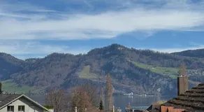 Lake View near Lucerne - Image 5