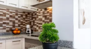 Oasis San Eugenio by Altamar Homes - Image 5