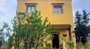 Le petit Jardin - Image 3