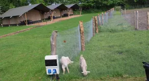 Camping De Waterbuffelfarm - Image 2