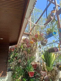 Bhopal Stay Nehru nagar - Image 5